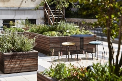 Urban-Yard-Garden-04-min