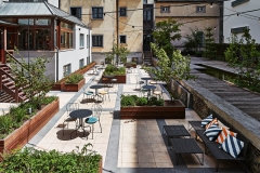 Urban-Yard-Garden-07-min